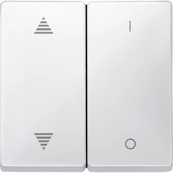 Schneider Electric - 626719 - Rockers for 2-gang push-button module wi - 1