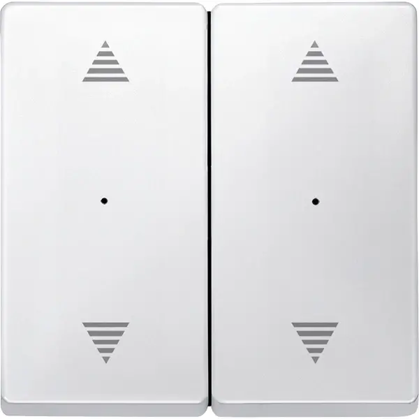Schneider Electric - 626819 - Rockers for 2-gang push-button module wi - 1