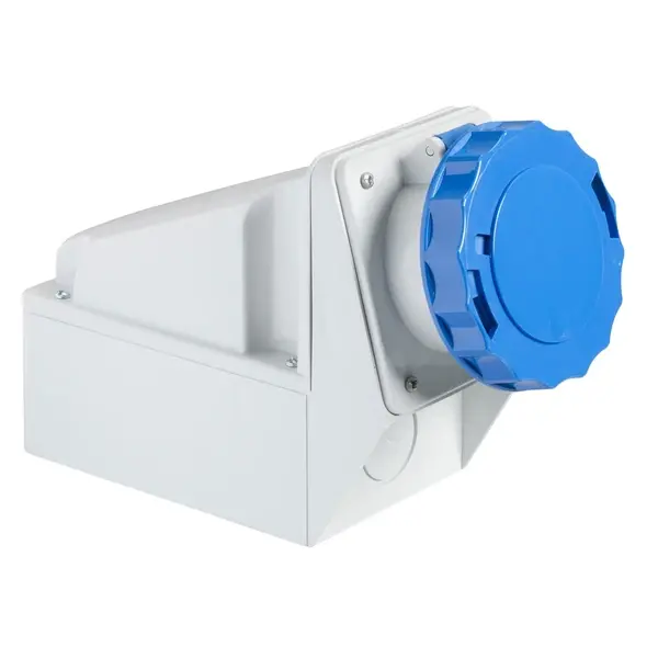Schneider Electric - 81178 - PrtKa 2P+E 63A 200-250V Ang Wall S. IP67 - 1