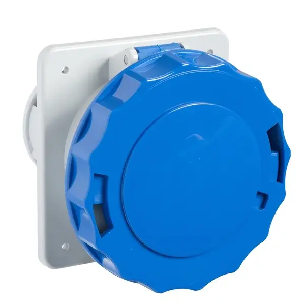 Schneider Electric - 81690 - SOCKET OUTLET 125A,200-25 0VAC,2P+E - 1