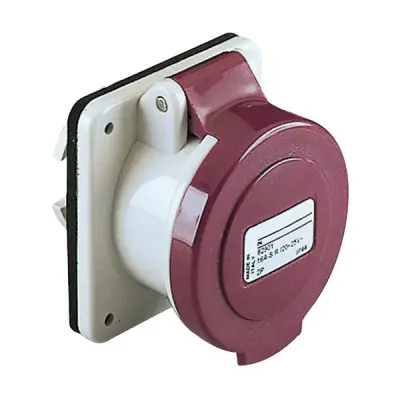 Schneider Electric - 82901 - PrtKa 2P 16A 20-25V Str Pnl Socket IP44 - 1