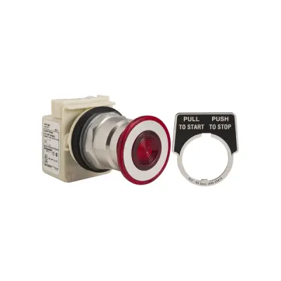 Schneider Electric - 9001KR8P1RH25 - 30MM PUSHBUTTON - 1