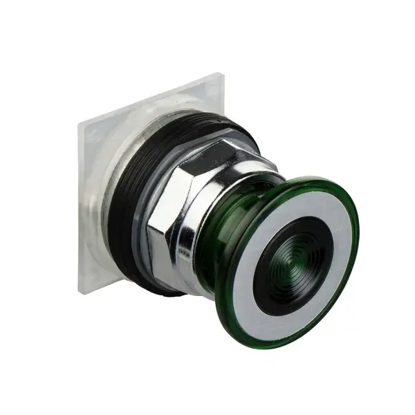 Schneider Electric - 9001KR9G - 30mm pushbutton - 1