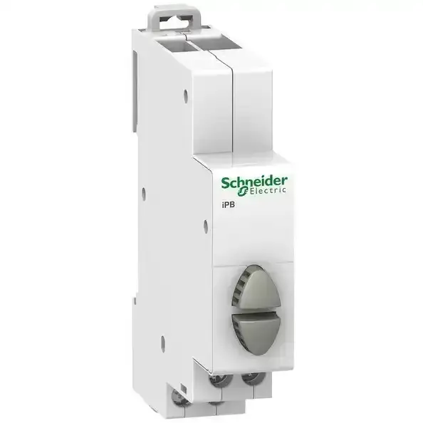 Schneider Electric - A9E18035 - iPB 1NO-1NO DOUBLE PUSH BUTTON GREY/GREY - 1