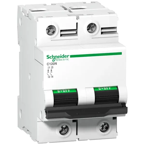 Schneider Electric - A9N18363 - C120N 2P 125A C 10000A 415V MINIATURE CI - 1