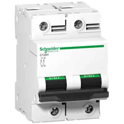 Schneider Electric - A9N18414 - C120H 2P 100A B 15000A 415V MINIATURE CI - 1