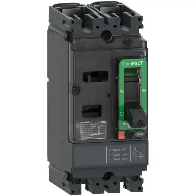 Schneider Electric - C10F2TM080 - NSX100F 18kA AC-DC 2P 80A TMD - 1