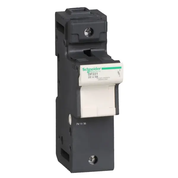 Schneider Electric - DF221 - TeSys fuse carrier 1P 125A - 1