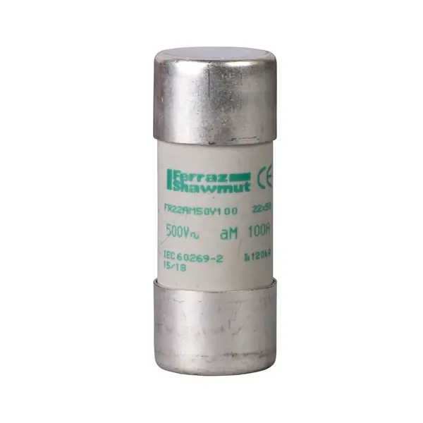 Schneider Electric - DF2FA50 - FUSE - 1