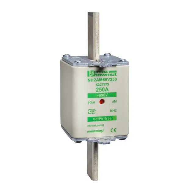 Schneider Electric - DF2JA1401 - DIN FUSE aM TYPE 400A BLADE SIZE2 - 1
