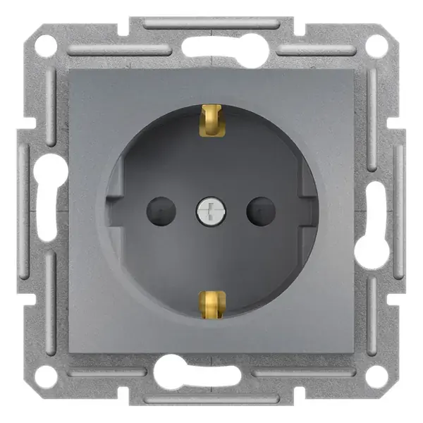 Schneider Electric - EPH2900262 - Asfora Side-e. Socket Out. w/Shtr Steel - 1
