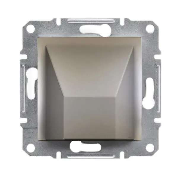 Schneider Electric - EPH5500169 - Asfora Kablo Cikis Bronz - 1
