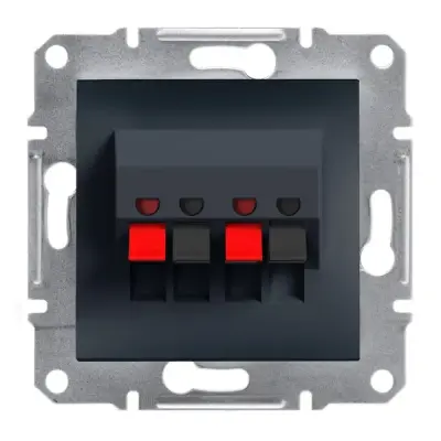 Schneider Electric - EPH5700171 - Asfora 2xLoudspeaker Outlet Anthracite - 1