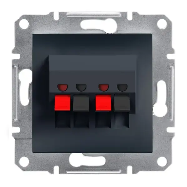 Schneider Electric - EPH5700171 - Asfora 2xLoudspeaker Outlet Anthracite - 1
