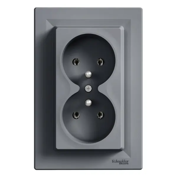 Schneider Electric - EPH9800262 - Asfora Double SO pin-earth PL std steel - 1