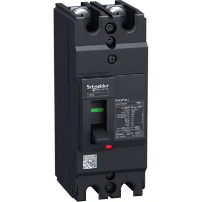 Schneider Electric - EZC100H2100 - mg ezc100 h 30ka 2p/2t 10 - 1