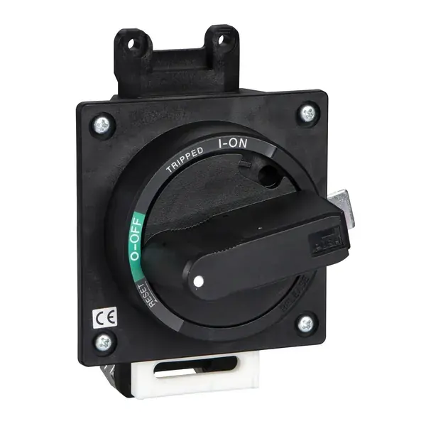 Schneider Electric - EZEROTDS - EZ250 STANDARD DIRECT ROTARY HANDLE - 1