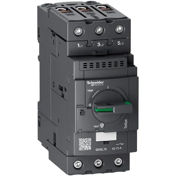 Schneider Electric - GV3L73 - GV3L MOTOR CB MAGNETIC 73A EVERLINK - 1