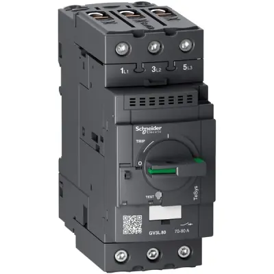 Schneider Electric - GV3L80 - GV3L MOTOR CB MAGNETIC 80A EVERLINK - 1