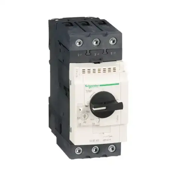 Schneider Electric - GV3P65 - TeSys GV3 - Motor circuit breaker 48-65A - 1