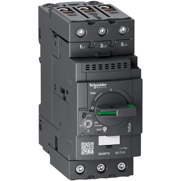 Schneider Electric - GV3P73 - GV3P MOTOR CB THERMO/MAG 62-73A EVERLINK - 1