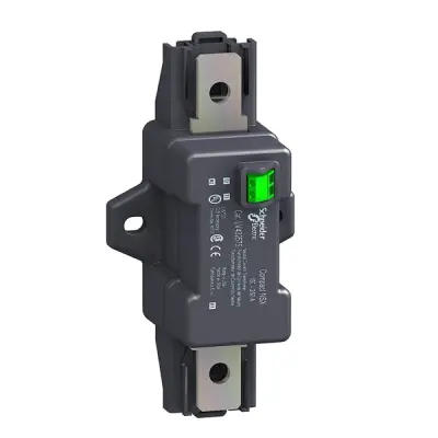 Schneider Electric - LV429521 - external neutral CT - 3 poles - 25..100 - 1