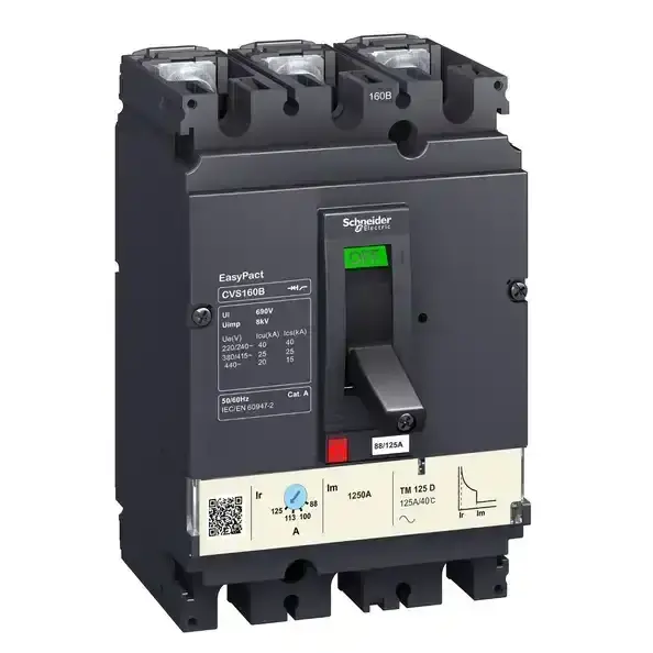 Schneider Electric - LV516302 - Easypact CVS - CVS160B TM125D circuit br - 1