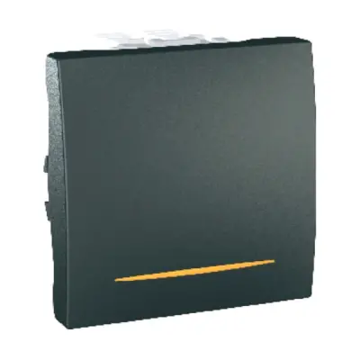 Schneider Electric - MGU3.201.12S - Unica One-way Switch w/Loc.Lght 2m Grpht - 1