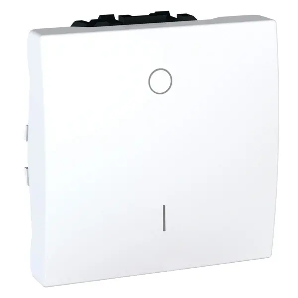 Schneider Electric - MGU3.262.18 - Unica Double-Pole Switch 16A White - 1