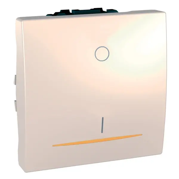 Schneider Electric - MGU3.262.25S - Double pole one-way switch lamp 2m - 1