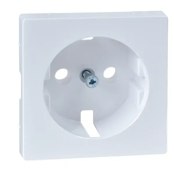 Schneider Electric - MTN2331-0325 - Merten Sys-M Side-e. S.O. Plate Act Wht - 1