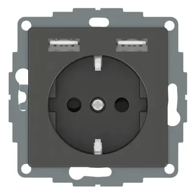 Schneider Electric - MTN2366-0414 - Mrtn SysM Side-e. S.O w/sht&USB 2.4A Ant - 1