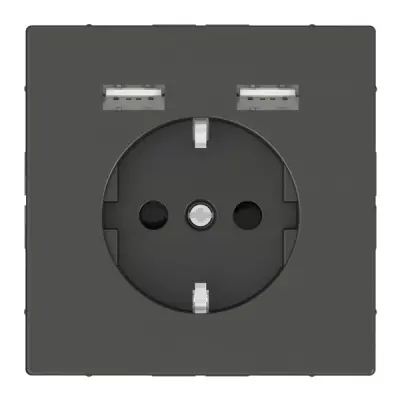 Schneider Electric - MTN2366-6034 - Mrtn DLife Side-e. SO w/sht&USB 2.4A Ant - 1