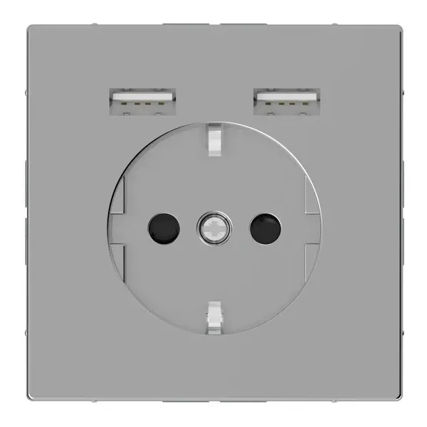 Schneider Electric - MTN2366-6036 - Schuko SO with USB charger TP stst SDsg - 1