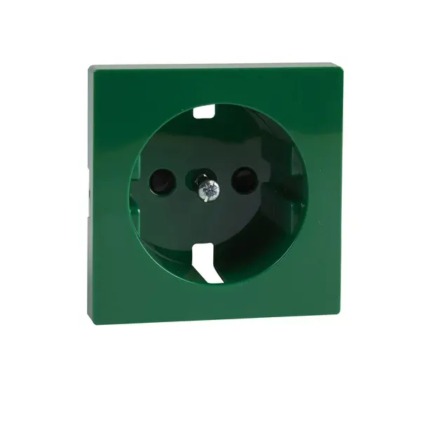 Schneider Electric - MTN248904 - Cen.pl.w.ICP f.so.ou.w.earth TPb gn SysM - 1