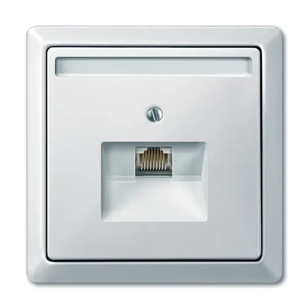 Schneider Electric - MTN291819 - Merten Sys-D 1xRJ45 Insert Plate Plr Wht - 1