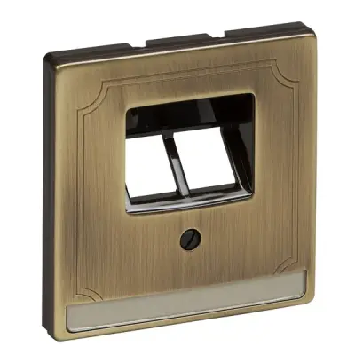 Schneider Electric - MTN292643 - Merten Sys-D 2xRJ45 Insert Plate Ant Brs - 1
