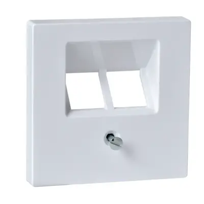 Schneider Electric - MTN296125 - Merten Sys-M 2xRJ45 Insert Plate Act Wht - 1