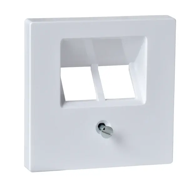 Schneider Electric - MTN296125 - Merten Sys-M 2xRJ45 Insert Plate Act Wht - 1