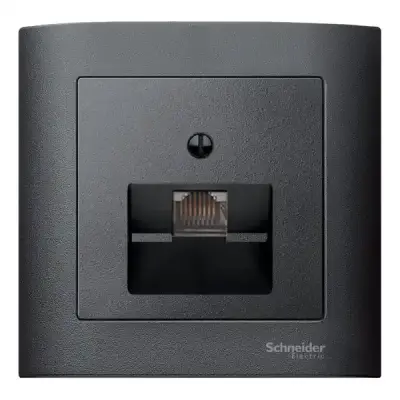 Schneider Electric - MTN298314 - Merten Sys-M 1xRJ45 Insert Plate Anth - 1