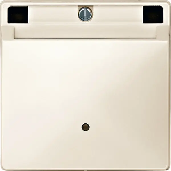 Schneider Electric - MTN315344 - Merten Sys-D Keycard Switch Plate White - 1