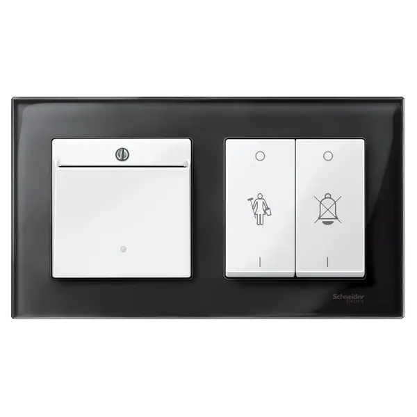Schneider Electric - MTN315619 - Merten Sys-M Keycard Sw. Plate Plr Wht - 1