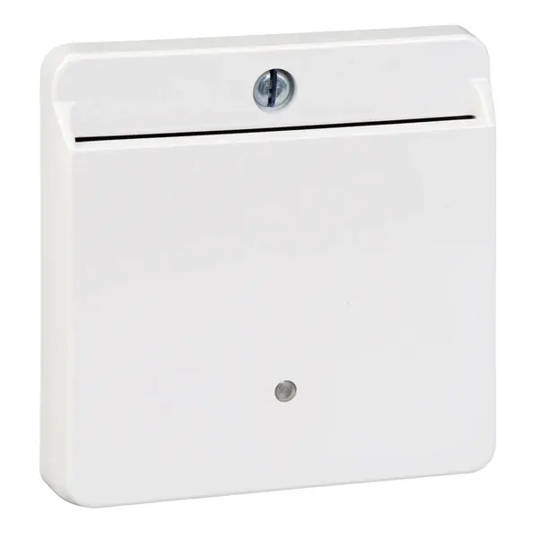 Schneider Electric - MTN315625 - Merten Sys-M Keycard Sw. Plate Act Wht - 1
