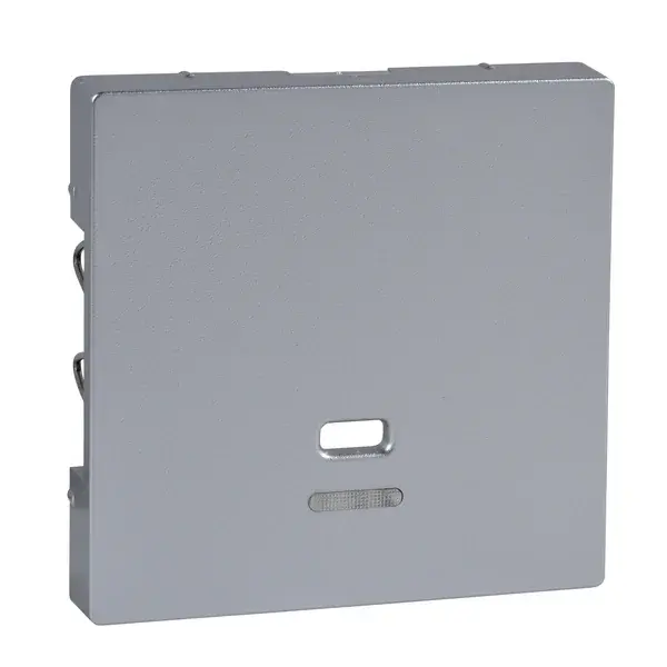 Schneider Electric - MTN3380-0460 - Merten Sys-M Cord Switch Plate Aluminium - 1