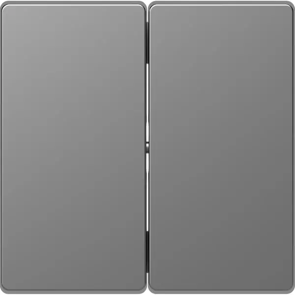 Schneider Electric - MTN3400-6036 - Merten D-Life 2g Rocker Plate St. Steel - 1