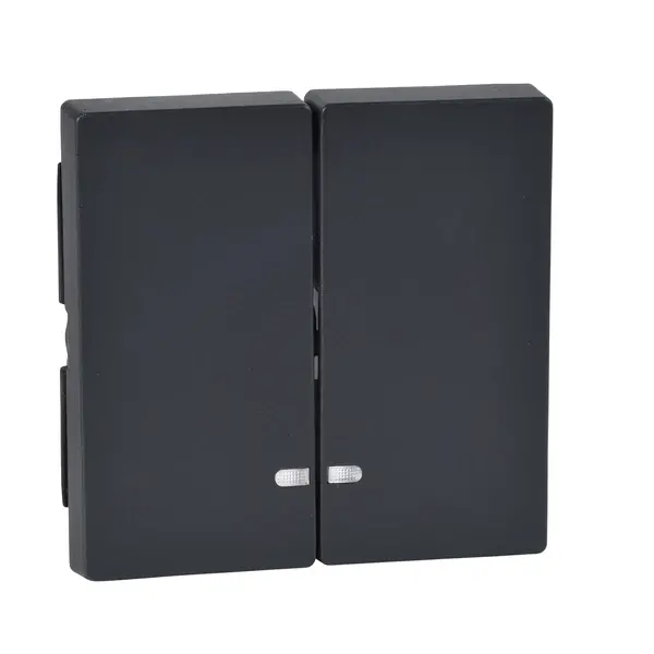 Schneider Electric - MTN3420-0414 - Merten SysM 2g Rocker w/Indctr Plate Ant - 1