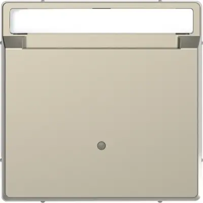 Schneider Electric - MTN3854-6033 - Merten Keycard Switch Plate Sahara - 1
