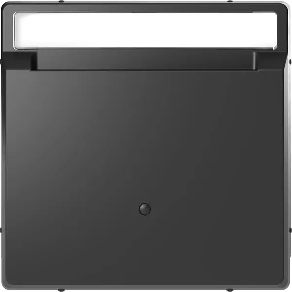 Schneider Electric - MTN3854-6034 - Merten Keycard Switch Plate Anthracite - 1