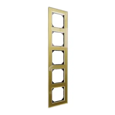 Schneider Electric - MTN4050-3241 - Real glass frame 5g gold M-Ele - 1