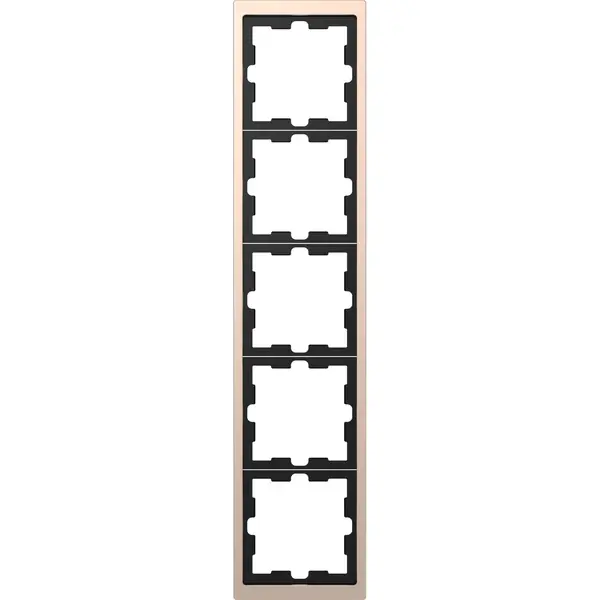 Schneider Electric - MTN4050-6551 - Metal frame 5g chm D-Life - 1